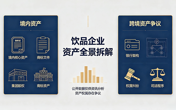 娃哈哈境内核心资产